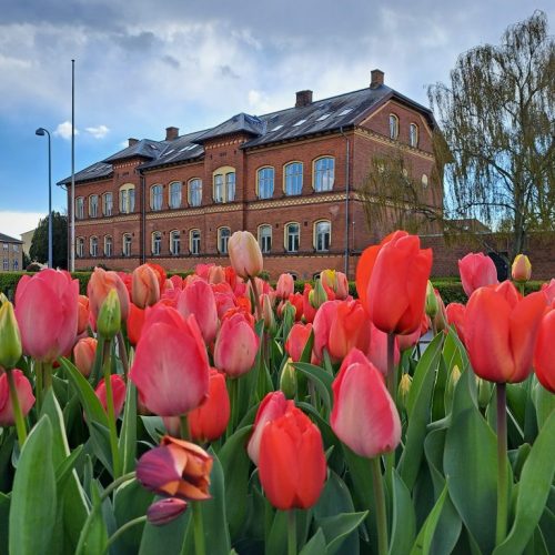 Aktivitetshuset Parplyens årlige loppemarked i Hundested