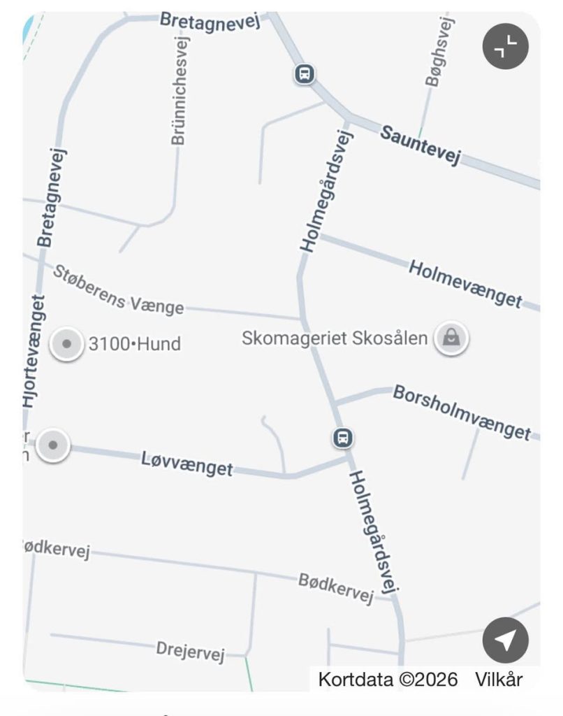 LOPPEMARKED – Hornbæk i Holmegårdskvarteret