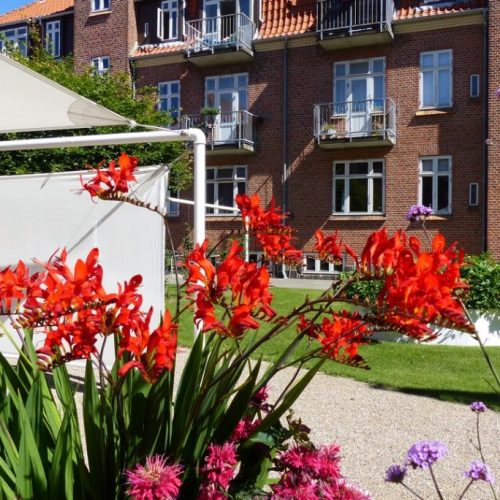 loppemarked Nørrebrogade 36 i gården