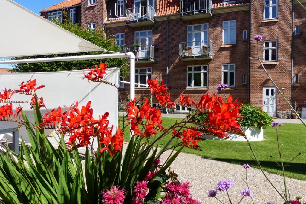 loppemarked Nørrebrogade 36 i gården