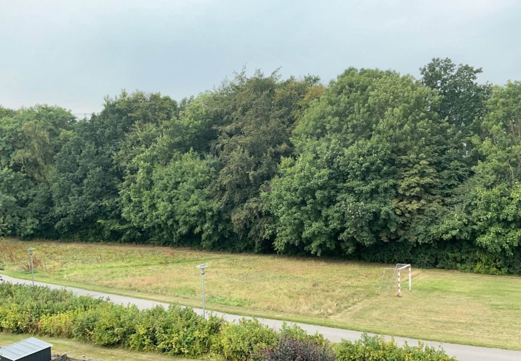 Loppemarked i Lærkeparken, Hillerød